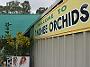 Tinonee-orchids-II 029